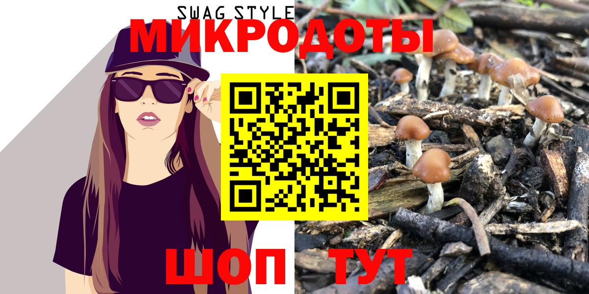 Псилоцибиновые грибы ЛСД  Вход с VPN  Новозыбков  Псилоцибиновые грибы Magic Shrooms 