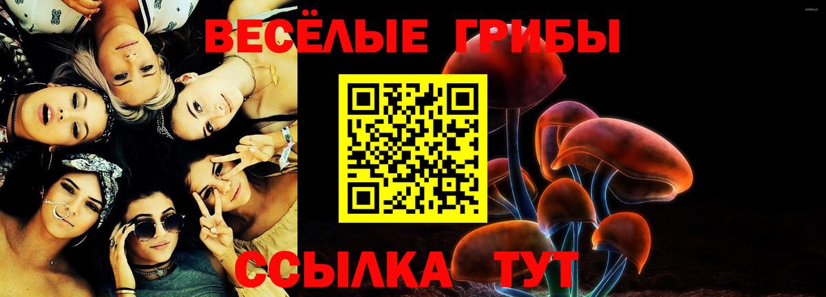 Псилоцибиновые грибы ЛСД Новозыбков